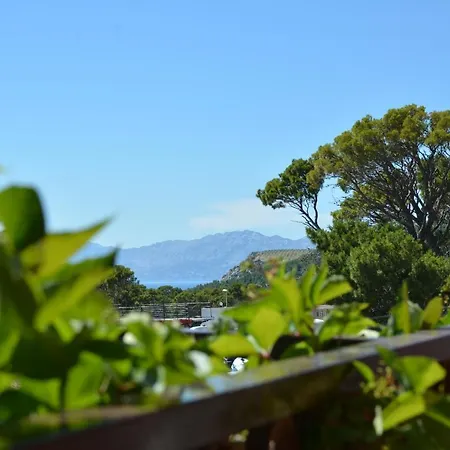 Rusendic * Makarska