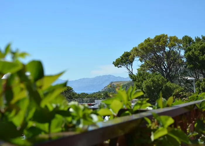 Rusendic * Makarska